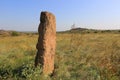 Old stone idol in steppe Royalty Free Stock Photo