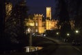 Old stone majestic illuminated castle in night woods Royalty Free Stock Photo