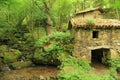 Old stone mill on a river in a green and lush forest.