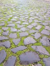 Old stone mossy bricks and pavement