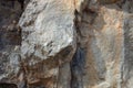 Old Stone mountain texture background Royalty Free Stock Photo