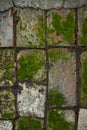 Old stone path in the moss after the rain, selective focus Royalty Free Stock Photo