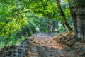 Old stone pathway in the park Royalty Free Stock Photo