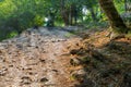 Old stone pathway in the park Royalty Free Stock Photo