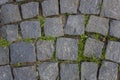 Old stone pavement of blue stones of various shapes and sizes with green grass sprouted. rough surface texture Royalty Free Stock Photo