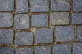 Old stone pavement of blue stones of various shapes and sizes with green moss. rough surface texture Royalty Free Stock Photo