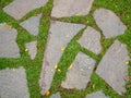 Old stone pavement with green grass Royalty Free Stock Photo
