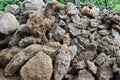 The old stone pile prepared to be carved into various shapes.