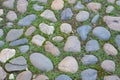 Old stone road. Background of large stones with growing green grass between them. Royalty Free Stock Photo