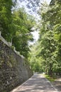 Old Stone Road in the forest from Baile Herculane Resort in Romania Royalty Free Stock Photo