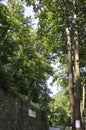 Old Stone Road in the forest from Baile Herculane Resort in Romania Royalty Free Stock Photo