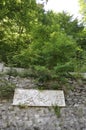 Old Stone Road in the forest from Baile Herculane Resort in Romania Royalty Free Stock Photo