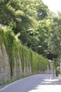 Old Stone Road in the forest from Baile Herculane Resort in Romania Royalty Free Stock Photo