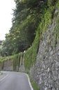 Old Stone Road in the forest from Baile Herculane Resort in Romania Royalty Free Stock Photo