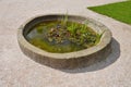 Old stone sandstone carved fountain converted into a pond with water lilies and irises. formerly a watering hole for horses. forma Royalty Free Stock Photo