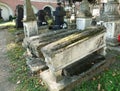 Old stone sarcophagus in the old cemetery. Ancient graves