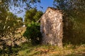 An old stone srai house for farming tools among olive trees and vineyards. Summer in the south of Italy. Rural landscape