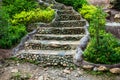 Old stone stair with moss and has green tree placed on both side Royalty Free Stock Photo