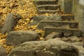 Old stone staircase Royalty Free Stock Photo