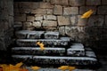 Old stone staircase with fallen leaves Royalty Free Stock Photo