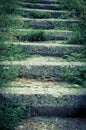 Old stone staircase, overgrown with grass. Royalty Free Stock Photo