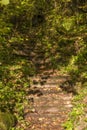 Old stone staircase in a park Royalty Free Stock Photo