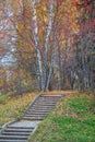 Old stone staircase in the park, strewn with colorful autumn leaves, autumn landscape Royalty Free Stock Photo