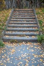 Old stone staircase in the park, strewn with colorful autumn leaves, autumn landscape Royalty Free Stock Photo