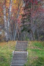 Old stone staircase in the park, strewn with colorful autumn leaves, autumn landscape Royalty Free Stock Photo