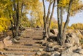 Old stone stairs in autumn. Staircase in steps among yellow foliage. Royalty Free Stock Photo