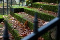 Old stone stairs covered with moss Royalty Free Stock Photo