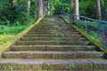 Old stone stairs covered with moss and lichen Royalty Free Stock Photo