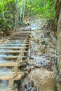 Old stone stairs in the jungle with a waterfall, lush tropical greenery