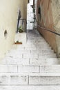 Old stone stairs in Lisbon Royalty Free Stock Photo