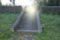 Old stone stairs with a morning glow and green grass Royalty Free Stock Photo