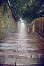 Old stone stairs with morning glow and tree Royalty Free Stock Photo