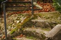 Old stone stairs with moss in autumn Royalty Free Stock Photo