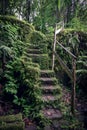 Old stone stairs in overgrown forest garden Royalty Free Stock Photo
