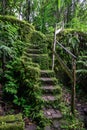 Old stone stairs in overgrown forest garden Royalty Free Stock Photo