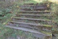 Old stone stairs overgrown with grass Royalty Free Stock Photo