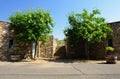 Old stone stairs to the vineyards Royalty Free Stock Photo