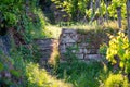 Old stone stairs in the vineyard in sunny summer day. Royalty Free Stock Photo