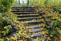 Old stone staps in park Royalty Free Stock Photo