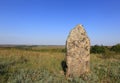 Old stone on meadow