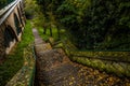 Old stone steps in autumn park Royalty Free Stock Photo