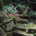 Stone steps garden feature Royalty Free Stock Photo