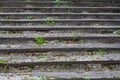 Old stone steps with grass Royalty Free Stock Photo