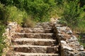 Old stone steps with green grass Royalty Free Stock Photo