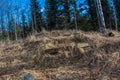Old stone steps lead to the forest. Sheep River Provincial Park. Alberta, Canada Royalty Free Stock Photo