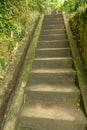 Old stone steps leading in to tropical jungle trekking and walki Royalty Free Stock Photo